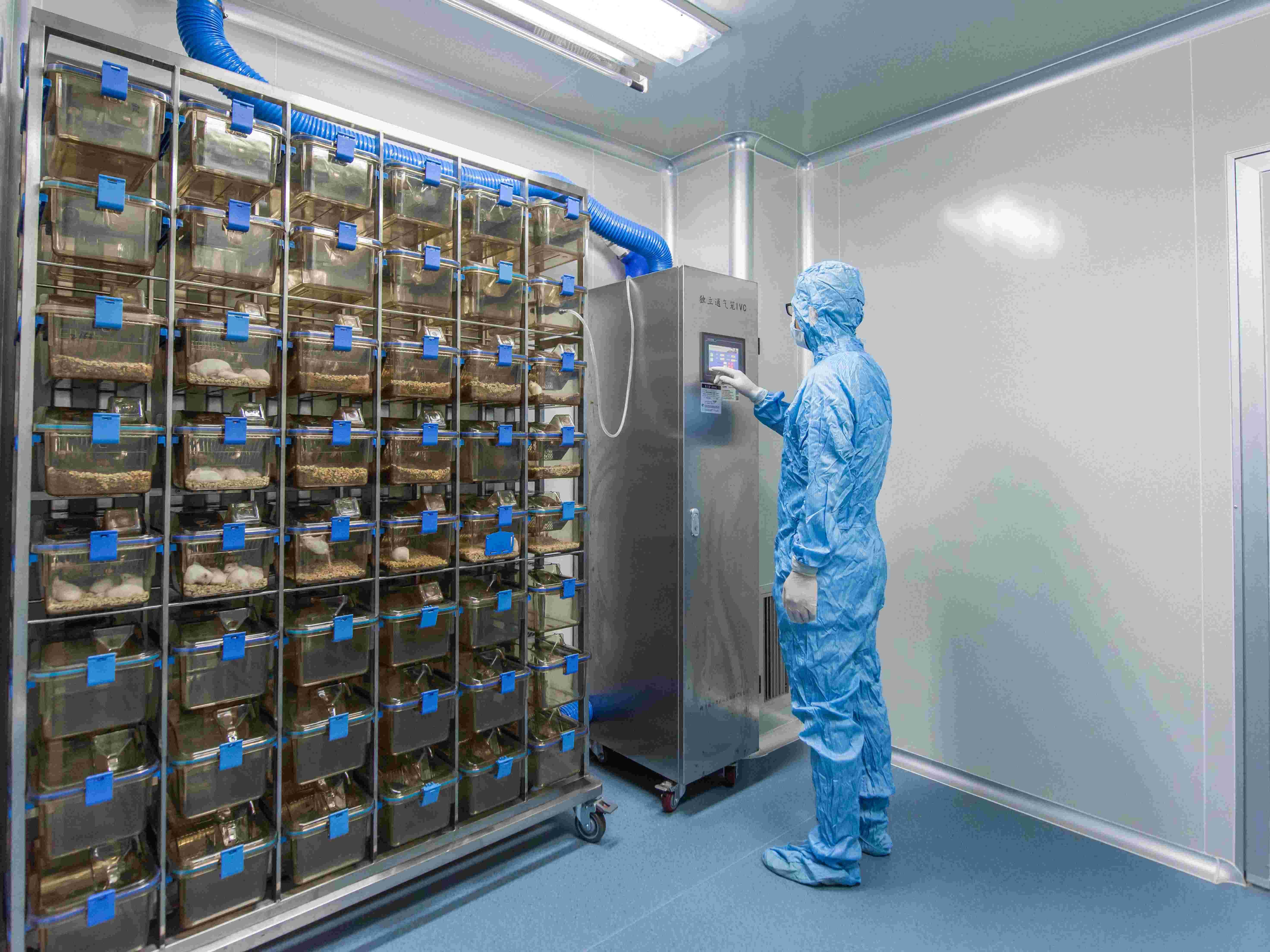 毒理安全性檢測